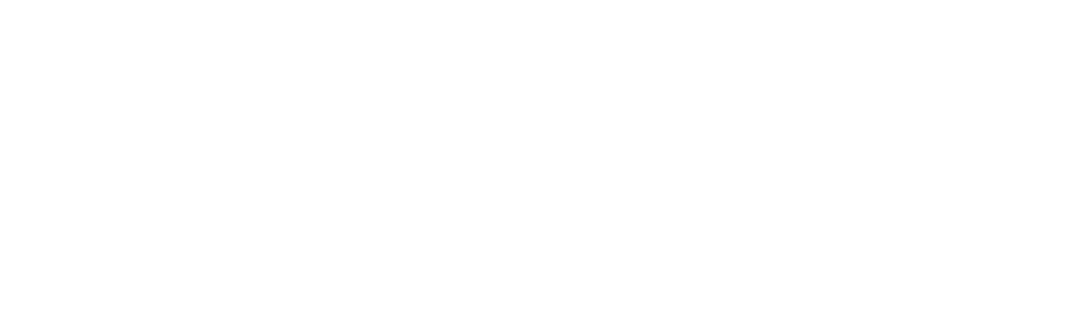 palmera